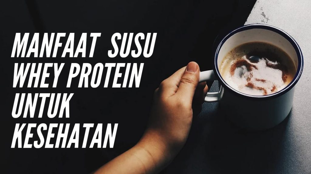 Manfaat susu whey protein